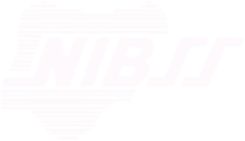 NIBSS